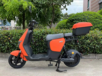 Pedal dewasa skuter listrik Penjualan Terbaik Eropa membantu 48V 500W 1000W e sepeda motor sepeda kumbang EEC