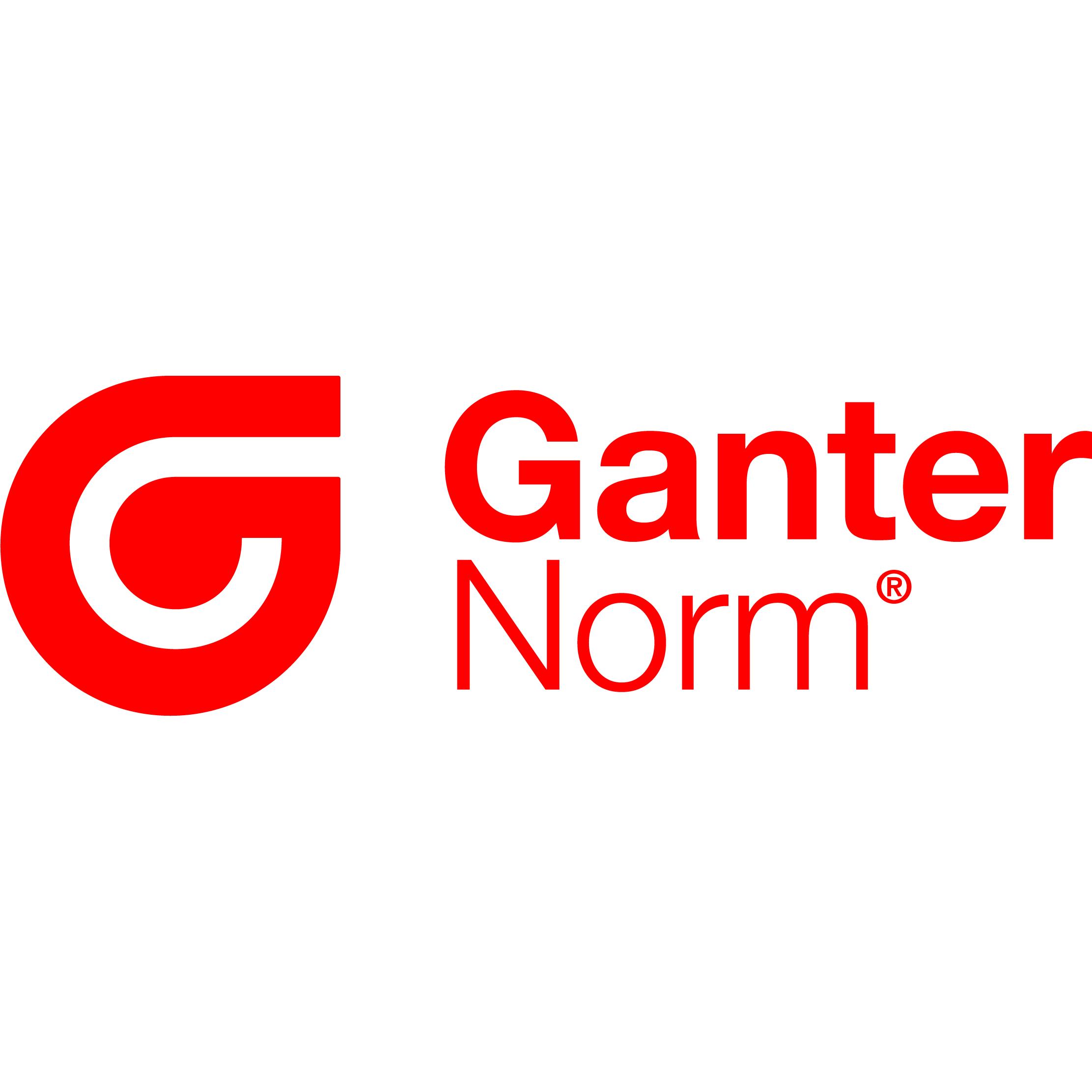 Otto Ganter GmbH + Co. KG Normteilefabrik logo