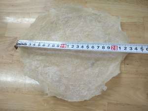 ปลากระเพาะแห้งเกรดพรีเมียมหนาพิเศษ / ปลากระเพาะแห้ง BASA รูปทรงกลม คุณภาพดีจากเวียดนาม - Product Image 4