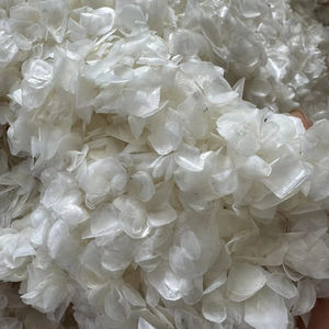 เกล็ดปลาทิลาเปียแห้งขายส่งที่ดีที่สุด ปี 2024 บริสุทธิ์ 100 เปอร์เซ็นต์ พร้อมราคาที่แข่งขันได้และคุณภาพระดับตลาด - Product Image 1