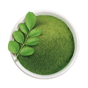 EXTRAIT EN POUDRE VERTE DE PLANTE À FEUILLES DE MORINGA - Product Image 1