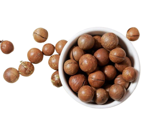 Noix de macadamia grillées décortiquées avec coquille et noyau Collations exotiques Vente en gros Noix de macadamia Produit Genre/ ANNA DO VILACONIC - Product Image 1