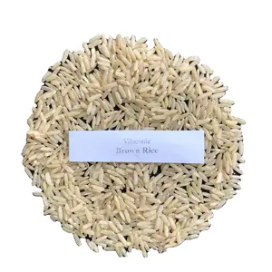 Texture dure de riz brun sain de haute qualité pour les plats diététiques et tous les marchés-Contactez Mme Quincy Wa 84858080598 - Product Image 1