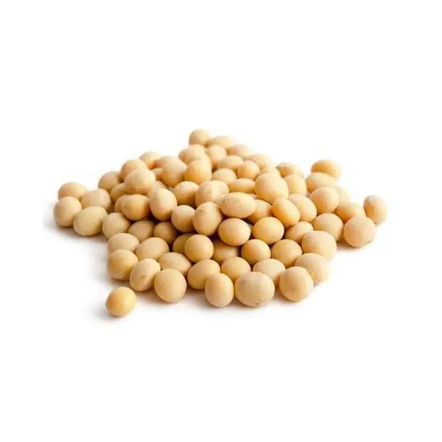 Graines de soja jaunes naturelles sans OGM/soja/fèves de soja soja de haute qualité