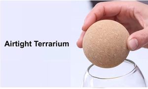 Terrarium <span class=keywords><strong>en</strong></span> verre avec couvercle <span class=keywords><strong>en</strong></span> bois hermétique, terrarium <span class=keywords><strong>fermé</strong></span>, pot de plantation, <span class=keywords><strong>bocal</strong></span> <span class=keywords><strong>en</strong></span> verre transparent, récipient de 1200 ml (40 oz), écosystème d'intérieur - Product Image 6