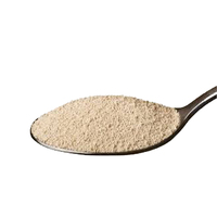 Haute qualité fabriquée en Italie ALEAFERM BAKY levure de boulangerie levure sèche instantanée active pour le gonflement du pain sac de 500g et 10 kg