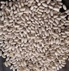 Wholesale Bulk Premium Grade Non-GMO Natural Dried White Kidney <b>Beans</b> New Crop Vacuum Pack Long Term Storage 24 Months Shelf - Product Image 4