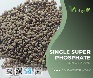 วีจีเฟิร์ต - ปุ๋ยซุปเปอร์ฟอสเฟตชนิดเม็ด (SSP) - Product Image 2