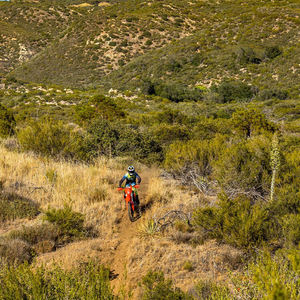 Honda CRF 450R/CRF 450RX 2023 - Product Image 3