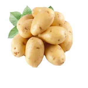 감자 신선한 고구마 도매 고품질 저가 공급자 신선한 유기 감자 고품질 싼 가격