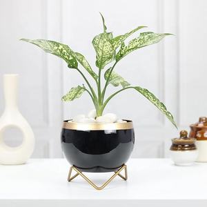 Pots de plantes de jardin décoratifs en métal personnalisés pour fleurs Vase d'extérieur Pot de fleurs Forme et design personnalisés - Product Image 2