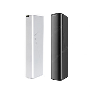 Boa Qualidade Pro Sound Full Frequency Wall <span class=keywords><strong>Line</strong></span> <span class=keywords><strong>Array</strong></span> <span class=keywords><strong>Column</strong></span> Speaker - Product Image 2