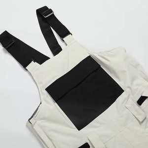 <b>Ski</b> Suit Pack Insulated Waterproof Breathable <b>Jacket</b> Pants Mittens Beanies Snowboarding Windproof Design Zipper Unisex - Product Image 2