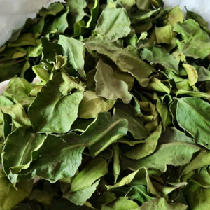 Feuilles de kaffir séchées vietnamiennes de haute qualité pour la cuisson - Product Image 5