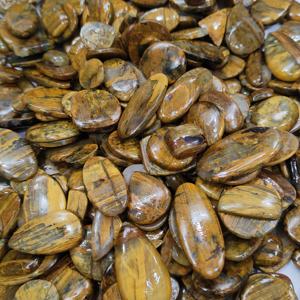 Nelita Natural al por Mayor, Cabujón Amarillo y Grisáceo, Formas Mixtas de 20-40mm, 10-20g, Gemas Sueltas para Joyería de Colgantes/Collares - Product Image 4