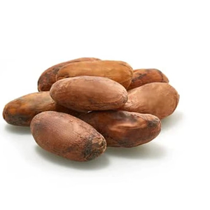 Prêt à être transformé en gros fèves de cacao fermentées séchées au soleil fèves de cacao vertes grillées et crues - Product Image 1