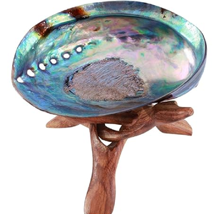 เครื่องเผาธูปเปลือกหอยเป๋าฮื้อธรรมชาติขนาดใหญ่สำหรับเปลือกหอยเปลือกหอยเปลือกหอยมาตรฐาน - Product Image 1