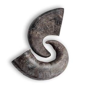 Cuerno de búfalo natural Juguete masticable para perros Juguete sostenible de larga duración para mascotas | Producto al por mayor de Venta caliente de la India - Product Image 4