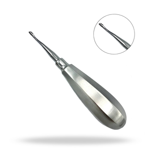 Elevador Dental Veterinario de 3 mm con Punta de Ala Curvada Internamente, Mango Pequeño 503, para Luxación y Elevación en Animales Pequeños - Product Image 1