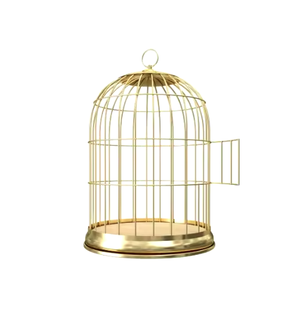 ตามที่แสดง