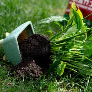 Engrais NPK le plus compétitif pour les cultures agricoles Sulfate d'azote et d'urée Sulfate d'ammoniac Sulfate d'ammonium Déchets agricoles - Product Image 1