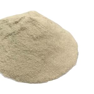 Bulk Export High Quality Irish <b>Moss</b> Powder 100% Natural with Competitive Price - Product Image 1