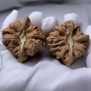 Noix rouges triangulaires Feng Shui, faites à la main, écologiques, durables, pour le jeu, entièrement naturelles, longue durée - Product Image 6