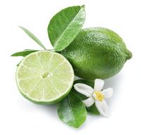 Verse groene citroen zonder pit uit Vietnam, merk VIOT, hoge kwaliteit, premium gezonde citrusvrucht, 6cm, 100g, 12 maanden houdbaarheid