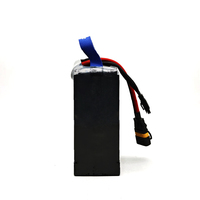 Batterie de drone lithium-ion semi-solide rechargeable haute performance 33000 mAh 320 Wh/kg 6S/12S/14S/18S/24S