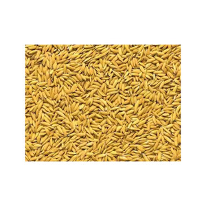 เมล็ดข้าวแท้สำหรับเลี้ยงวัวเมล็ดมัสตาร์ดสีเหลืองรำข้าวบริสุทธิ์ - Product Image 3