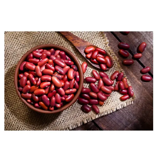 Kualitas baik kacang ginjal merah tua bentuk panjang kacang ginjal tersedia dalam jumlah besar stok segar dengan harga grosir dengan pengiriman cepat