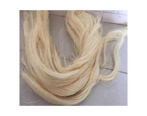 Fibre de sisal Fibre de sisal naturelle Autre fibre pour les fabricants d'extension de cheveux décolorés - Product Image 2