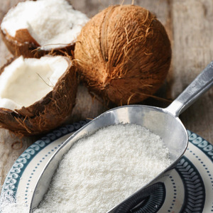 Coco desecado de grado fino de excelente calidad para exportación al por mayor, polvo de coco seco con alto contenido de grasa - Product Image 1