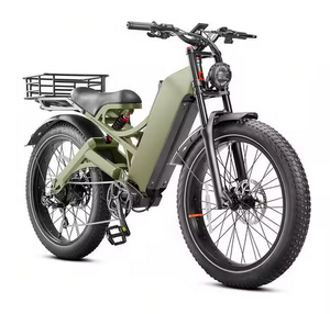 Vélo électrique professionnel - 34 MPH, 1600W, 12V, 70Ah, autonomie de 200 miles, vélo électrique pour adultes, pneus larges de 24 pouces, batterie au lithium, frein à disque, 12 vitesses, aluminium - Product Image 1