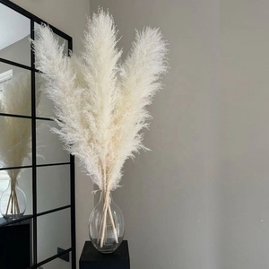 Forever Flowers Naturel Décoratif Énorme Herbe De Pampa Séchée Pour Les Mariages Fête Des Mères Graduation Nouvel An-Belle Saint Valentin - Product Image 1