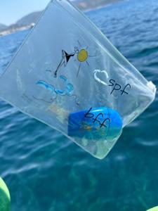 Estuche de Plástico Transparente/Esmerilado Personalizado para Trajes de Baño |   Bolsa Impermeable con Cierre Deslizante para Ropa Mojada y Toallas - Product Image 5