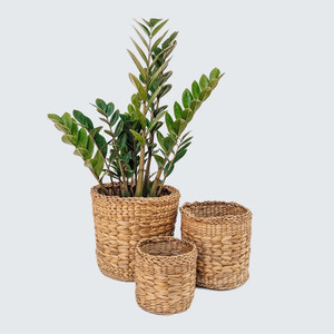 Water hyacinth plant display basket natural planters good quality planter <b>garden</b> essentials - Product Image 2