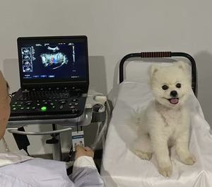 Système d'échographie approuvé <span class=keywords><strong>CE</strong></span>, écran LCD numérique portable de 12 pouces, appareil d'échographie vétérinaire - Product Image 5