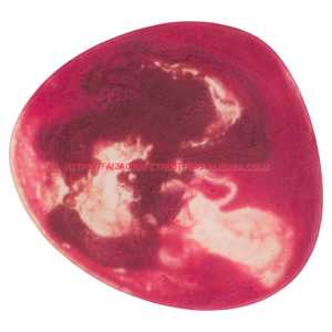 Assiette en résine au design art déco pour mariage pour steak pizza petit déjeuner salade présentation d'aliments glacés - Product Image 4