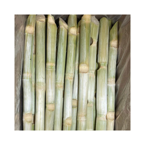 Grand stock de bâtonnets de canne à sucre surgelés livraison rapide bon prix-légumes surgelés - Product Image 1