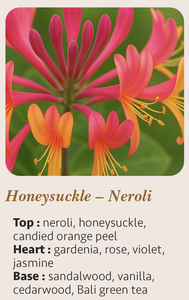 Vela Aromática de Lujo Hecha a Mano con Aroma a Madreselva y Neroli, 25cl, Logotipo Personalizado, Cera Mixta en Frasco de Vidrio Cilíndrico, 55 Horas de Duración - Product Image 5