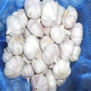 Ail frais blanc normal de 5 cm, populaire, en gros, à bon prix, certifié ISO9001 et GLOBAL GAP, en promotion - Product Image 1