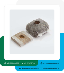 Cubos de propagación de fibra de coco de 10X10X10 CM, cubos de cultivo de fibra de coco Premium para horticultura comercial - Product Image 3