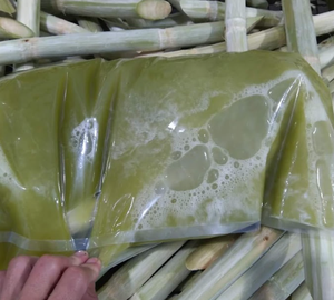 Polvo de jugo de caña de azúcar liofilizado | Exportación Premium de Vietnam, alto grado Brix, larga vida útil, certificado ISO - Product Image 5