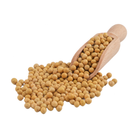 Soja non-OGM de qualité supérieure, grains entiers jaunes pour la production alimentaire et les applications de fabrication de boissons