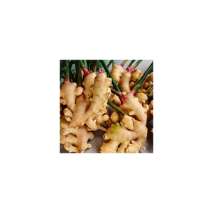 Jengibre fresco para aliviar la presión sinusal y la congestión - Product Image 1