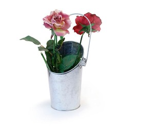 กระเป๋าติดผนังสไตล์วินเทจขนาด11นิ้วพร้อมถังชุบสังกะสีเคลือบผงสำหรับตกแต่งสวนทั้งภายในและภายนอกอาคาร - Product Image 2