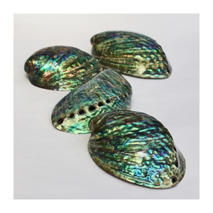 Wholesale Artistic Abalone Shell Pearls for DIY Jewelry, Utensil Styling, and Small Vase <b>Accessories</b> - Product Image 2