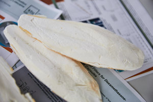 <b>Cuttle</b> <b>Fish</b> <b>Bone</b> with Cheap Price <b>Cuttle</b> <b>Fish</b> <b>Bone</b> Good Quality <b>Cuttle</b> <b>Fish</b> <b>Bone</b> Best Sale - Product Image 5