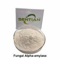 Poudre d'enzyme alpha-amylase fongique de qualité alimentaire 100 000 U/g pour la pâtisserie